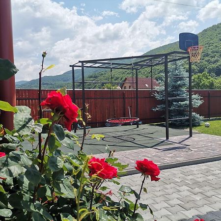 Hotel Dio Vendeghaz Praid Exteriér fotografie