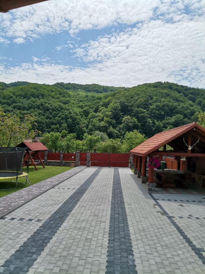 Hotel Dio Vendeghaz Praid Exteriér fotografie