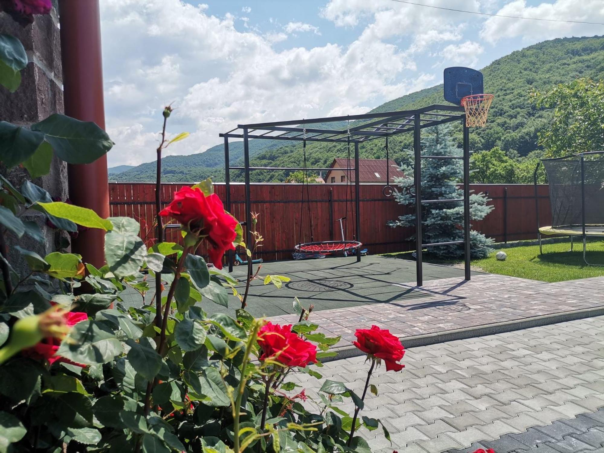 Hotel Dio Vendeghaz Praid Exteriér fotografie